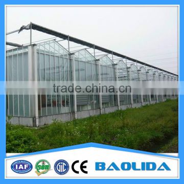 BaoLiDa Venlo Roof Glass Greenhouse Kit