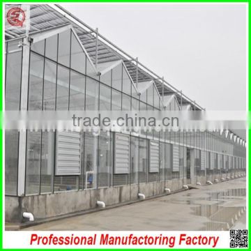 China supplier agriculture farm multi-span glass greenhouses for hot sale