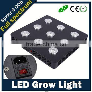 Igrow New Product Distributor Wanted Lettuce Autopot African Violet Menards Led Grow Light photo-3