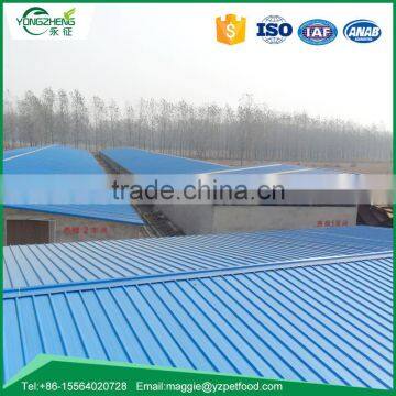 Tenebrio Molitor for Pet Bird photo-4