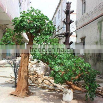 SJ20171884 factory ornamental foliage japanese trees and plants