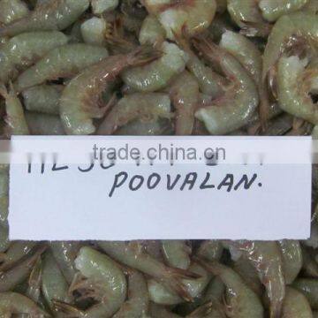 HLSO Monsoon Poovalan photo-2