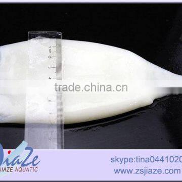 Frozen Squid Tube/giant Squid/illex Squid/loligo Squid photo-2