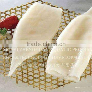 Frozen Argentina Squid Product