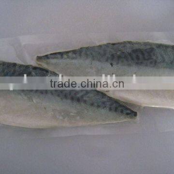 frozen mackerel