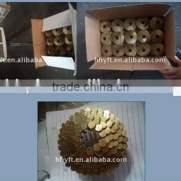Coil Nail China Supplier on Hot Sale