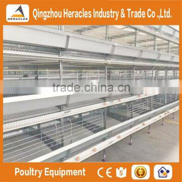 Hercles High Quality Poultry Equipment Automatic Chicken Layer Cage/egg Laying Cages for Sale in Philippines photo-5