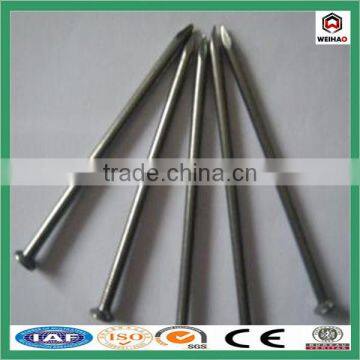 China Iso Factory Good Quality Construction Hot Sale Common Wire Nail photo-5