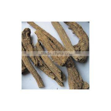 Saussurea Lappa Extract photo-2