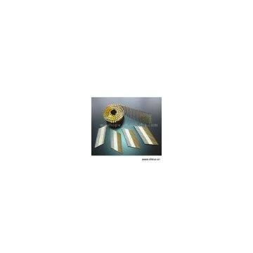 Sell Coil Nails and Paper Strip Nails