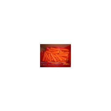 Fresh Chinese Carrot | Red Carrots