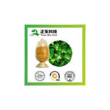 hot sale powder Ivy Extract HederacosideC