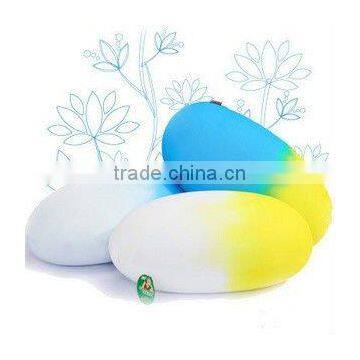 color egg microbeads pillow