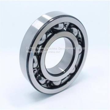 NSK 6004 VVCM Single Row Ball Bearings