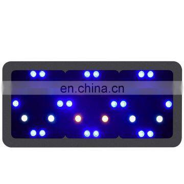 900w Full Spectrum LED Grow Light With 10W Double Chips For Indoor Grow Tent Hydroponics Plants Growing and Flowering Seeding photo-3