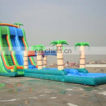 Commercial Big Water Slides for Sale , Large Inflatable Water Slide for Adult , Inflatable Slides photo-3