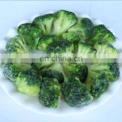 China Supplier of Premium Quality Frozen Broccoli Cuts photo-4