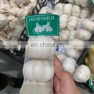 Children Toy Mesh Bag, Snacks Fruits Vegetables Seafood Mesh Bag, Agriculture Mesh Bag for Garlic Ginger Onion Potato Eggs photo-4