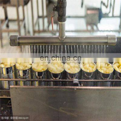 High Efficiency Canned Mandarin Orange Processing Plant / Orange Processing Machine