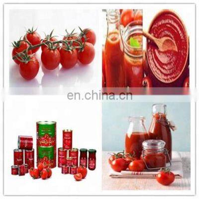 Small Scale Tomato Paste Processing Plant photo-3