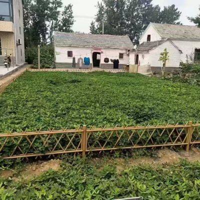 Premium Standard Size Imitation Bamboo Guardrail for Quick and Easy Installation