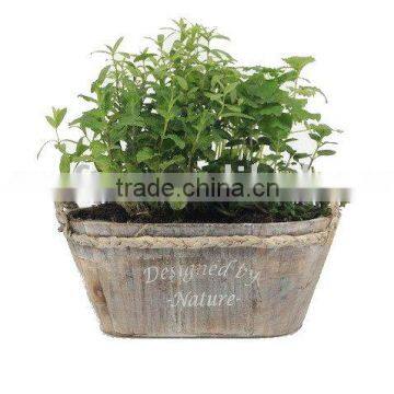 Environment-friendly wood planter