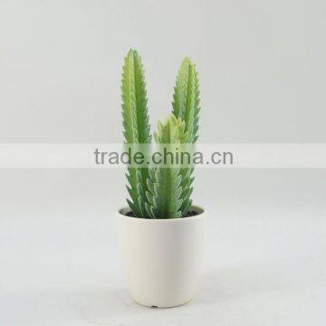 Decorative potted artificial ornamental plants indoor artificial cactus wholesale