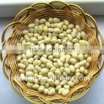 Shandong best price blanched Peanut kernels