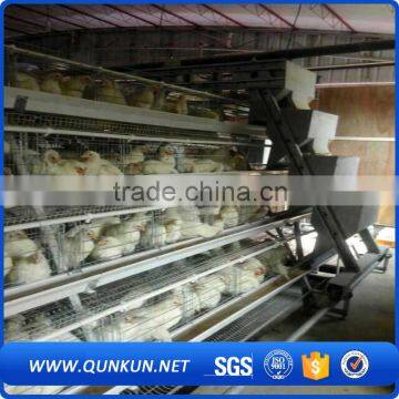 Automatic Chicken Layer Poultry Control Shed Equipment photo-4