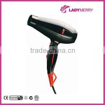 Professional AC Motor Hair Dryer