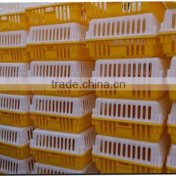 OEM / ODM Customized Hot Sale Plastic Chicken Poultry Cage in Shanghai photo-6