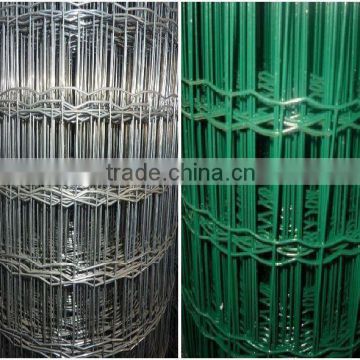 Holland wire mesh/euro welded wire mesh netting