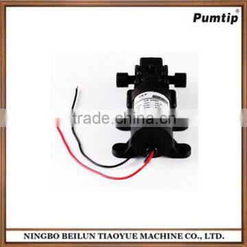 Car Washing Micro Diaphragm Pump DC12V 24V