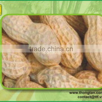 Peanut supplier from Vietnam