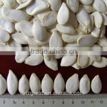 Roasted Snow White Pumkin Seeds With Salt Coat for Sale photo-3