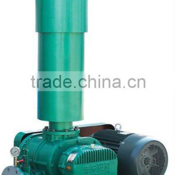 Roots Vacuum Pump