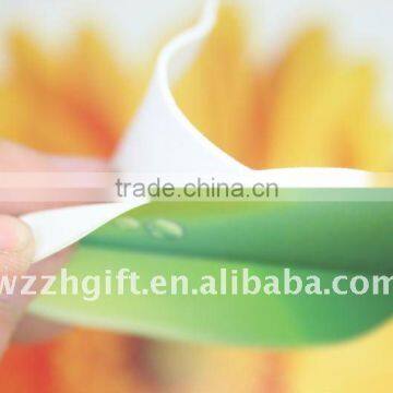 hot sale wallpaper sticker for home decoration