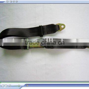 2010 Car Buckle Strap