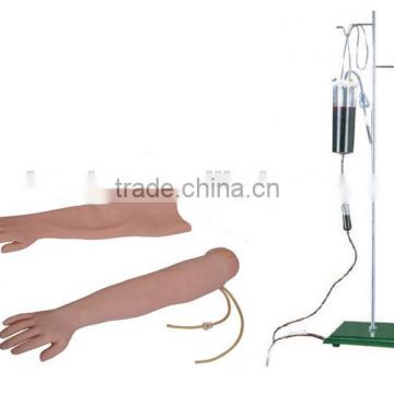 Venipuncture & Intramuscular Injection Arm Model