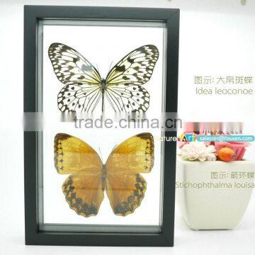 FOUSEN(043) Nature& Art natural butterfly handmade crafts alibaba express china