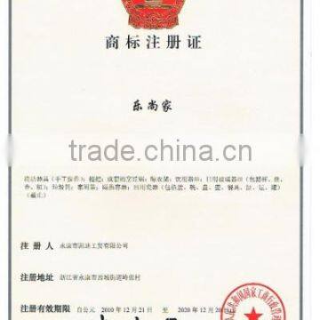 Trademark Registration Certificate