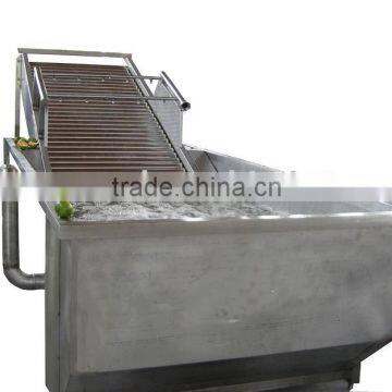 fruit washing machine