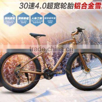 High Quality Wholesale Healthy No Folding Snow Electric Bicycle