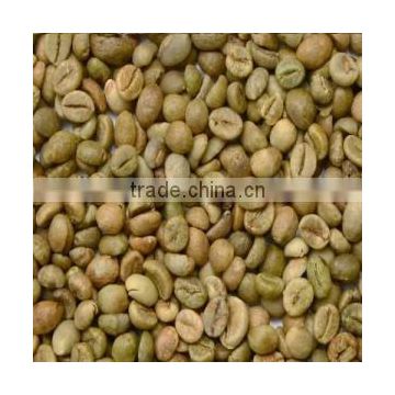 Best quality Arabica Green Coffee Bean