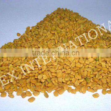 Graecum Fenugreek Seeds / Methi