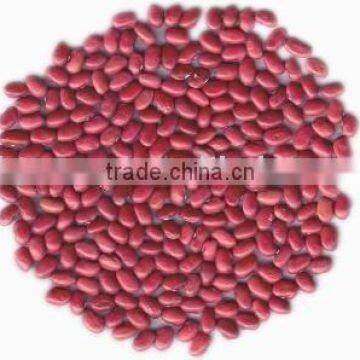 Red Kidney Beans Heilongjiang Origin