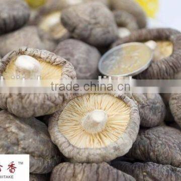 GMP Certified Shitake Mushroom/Lentinus Edodes Extract Lentinan P.E.Polysaccharide photo-2
