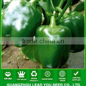 SP24 Fuao f1 hybrid green sweet pepper seeds, greenhouse seeds