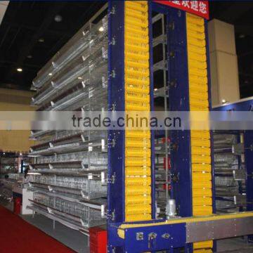 kenya automatic egg collection machine