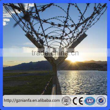 Razor Type Hot Galvanized Barbed Wire(Guangzhou Factory) photo-4